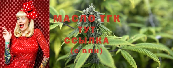 спайс Кулебаки